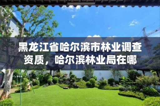 黑龙江省哈尔滨市林业调查资质,哈尔滨林业局在哪