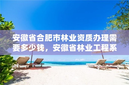 安徽省合肥市林业资质办理需要多少钱，安徽省林业工程系列技术资格评审标准条件