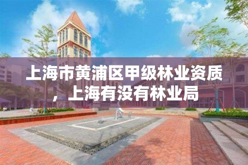 上海市黄浦区甲级林业资质,上海有没有林业局