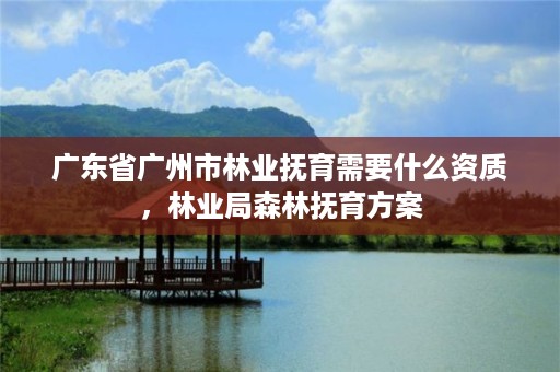广东省广州市林业抚育需要什么资质,林业局森林抚育方案