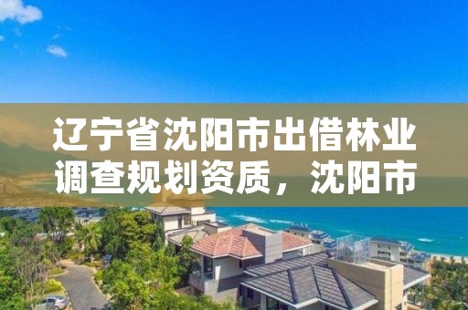 辽宁省沈阳市出借林业调查规划资质，沈阳市林业生态建设工作方案