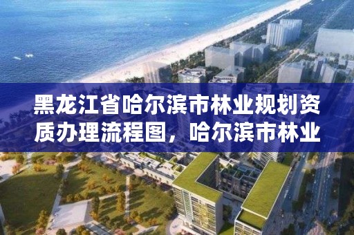 黑龙江省哈尔滨市林业规划资质办理流程图，哈尔滨市林业局直属林场
