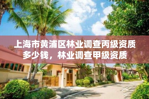上海市黄浦区林业调查丙级资质多少钱,林业调查甲级资质