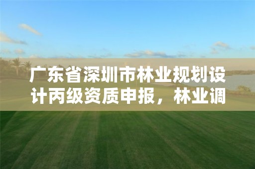 广东省深圳市林业规划设计丙级资质申报,林业调查规划设计资质丙级
