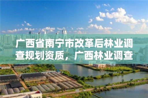 广西省南宁市改革后林业调查规划资质，广西林业调查规划设计资质名录