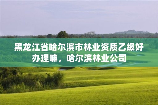 黑龙江省哈尔滨市林业资质乙级好办理嘛,哈尔滨林业公司