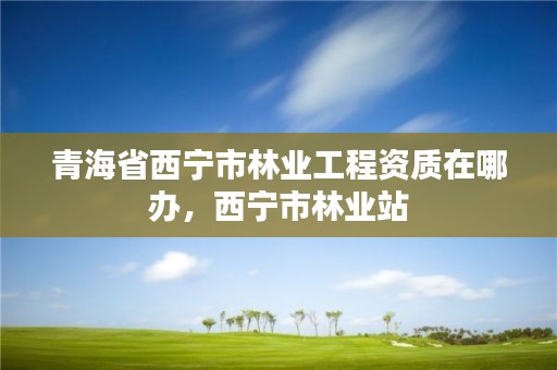青海省西宁市林业工程资质在哪办,西宁市林业站