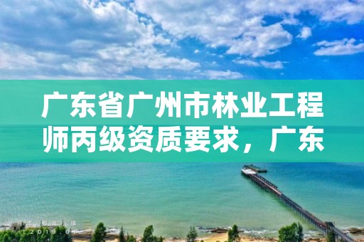 广东省广州市林业工程师丙级资质要求,广东省林业工程技术人才职称评价标准条件