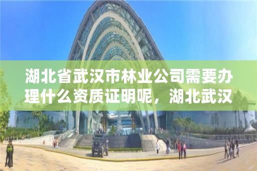 湖北省武汉市林业公司需要办理什么资质证明呢,湖北武汉林业局电话号码