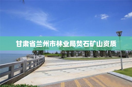 甘肃省兰州市林业局焚石矿山资质