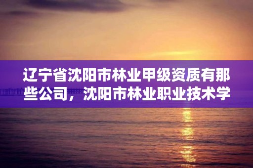 辽宁省沈阳市林业甲级资质有那些公司,沈阳市林业职业技术学院