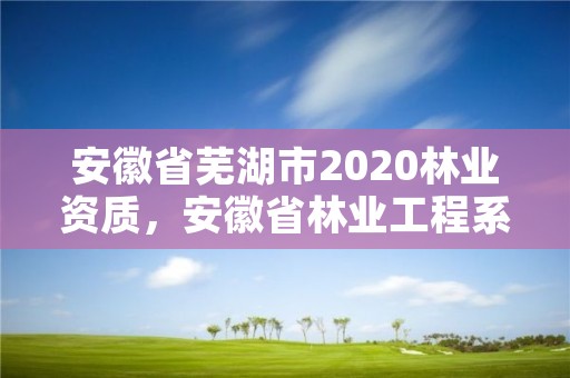 安徽省芜湖市2020林业资质，安徽省林业工程系列技术资格评审标准条件