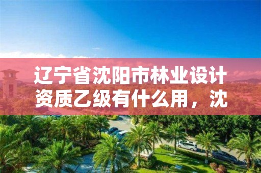 辽宁省沈阳市林业设计资质乙级有什么用,沈阳林业设计公司