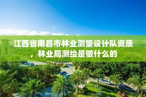 江西省南昌市林业测量设计队资质,林业局测绘是做什么的