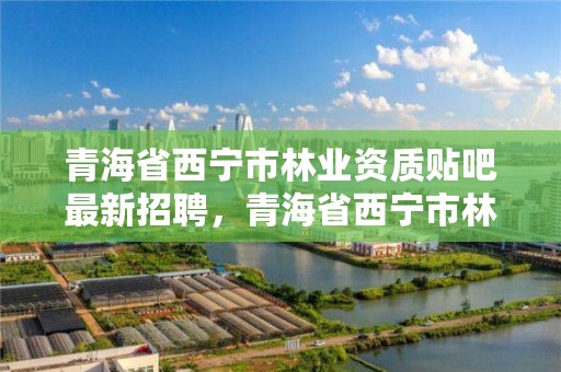 青海省西宁市林业资质贴吧最新招聘,青海省西宁市林业和草原局