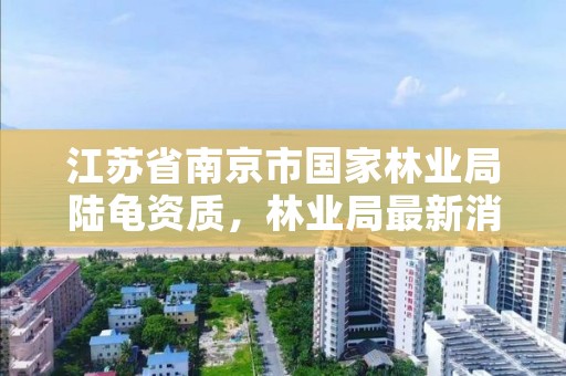江苏省南京市国家林业局陆龟资质,林业局最新消息陆龟