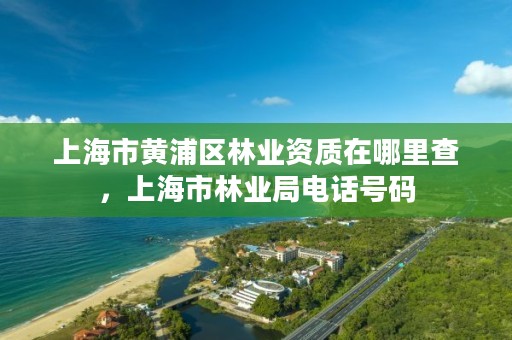 上海市黄浦区林业资质在哪里查,上海市林业局电话号码