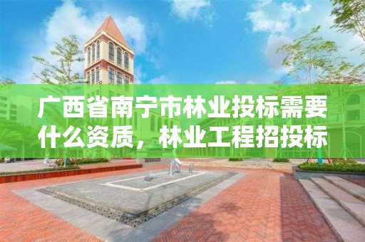 广西省南宁市林业投标需要什么资质,林业工程招投标