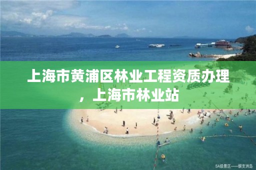 上海市黄浦区林业工程资质办理,上海市林业站