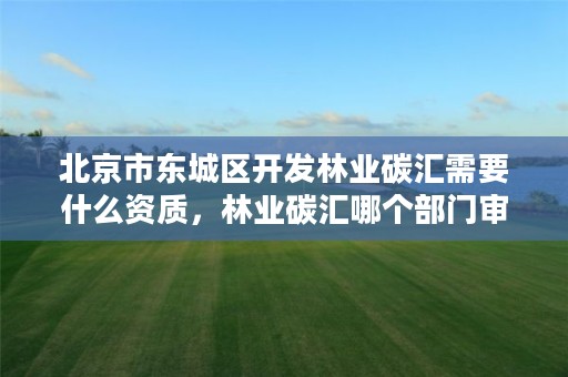 北京市东城区开发林业碳汇需要什么资质，林业碳汇哪个部门审批