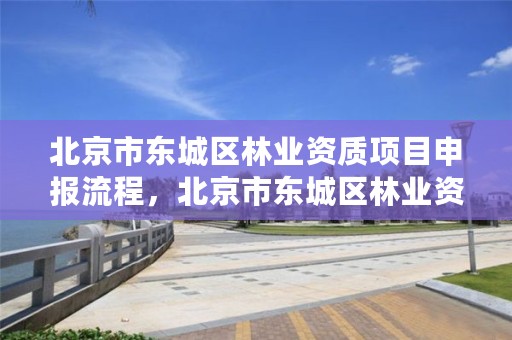 北京市东城区林业资质项目申报流程，北京市东城区林业资质项目申报流程表