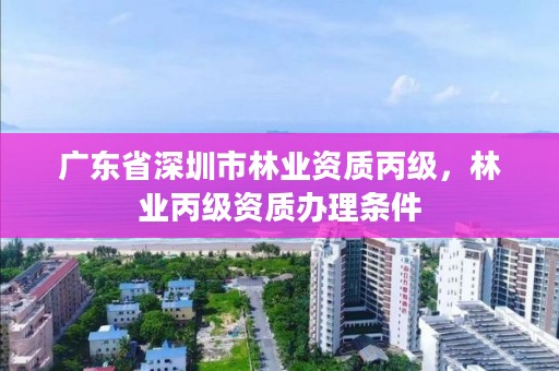 广东省深圳市林业资质丙级,林业丙级资质办理条件
