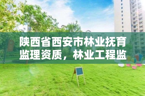 陕西省西安市林业抚育监理资质,林业工程监理资质