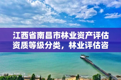 江西省南昌市林业资产评估资质等级分类,林业评估咨询公司