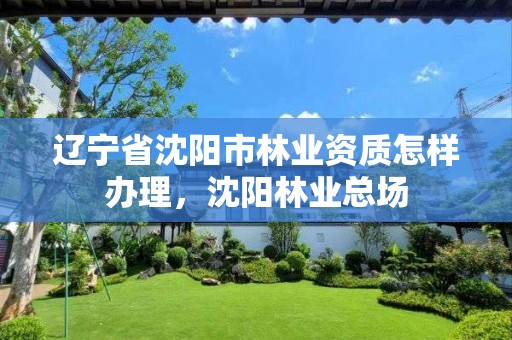 辽宁省沈阳市林业资质怎样办理，沈阳林业总场