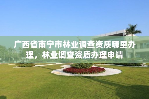 广西省南宁市林业调查资质哪里办理，林业调查资质办理申请