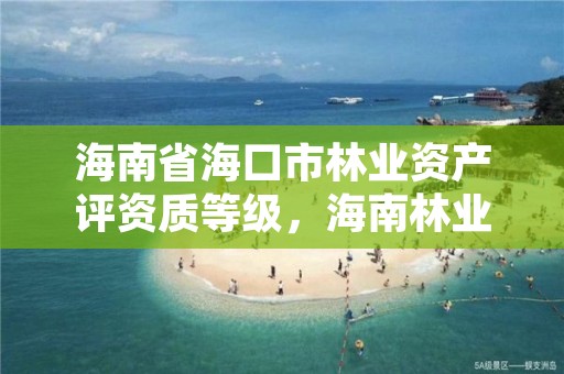海南省海口市林业资产评资质等级,海南林业局电话号码