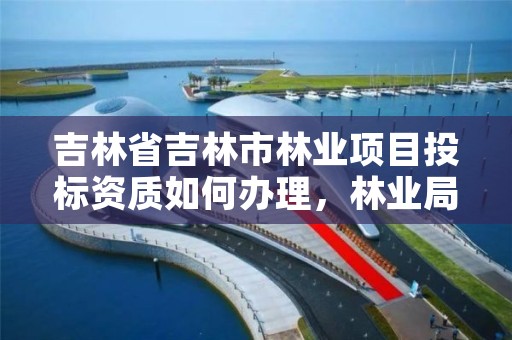 吉林省吉林市林业项目投标资质如何办理，林业局投标工程哪里决定中标