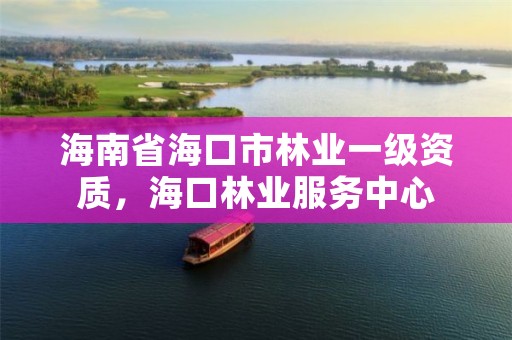 海南省海口市林业一级资质，海口林业服务中心