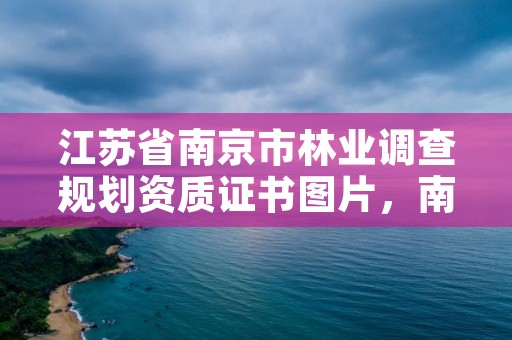 江苏省南京市林业调查规划资质证书图片，南京林业部门电话