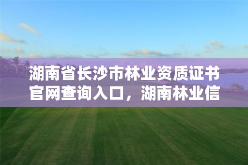 湖南省长沙市林业资质证书官网查询入口，湖南林业信息网林权证查询