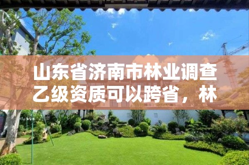 山东省济南市林业调查乙级资质可以跨省,林业调查甲级资质