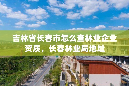 吉林省长春市怎么查林业企业资质，长春林业局地址