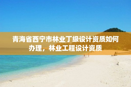 青海省西宁市林业丁级设计资质如何办理，林业工程设计资质