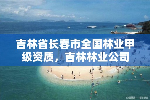 吉林省长春市全国林业甲级资质，吉林林业公司