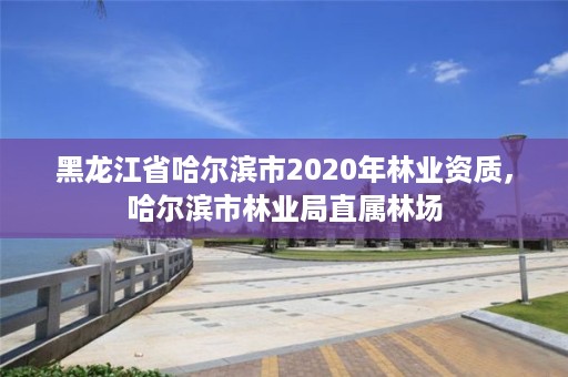 黑龙江省哈尔滨市2020年林业资质,哈尔滨市林业局直属林场
