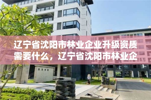 辽宁省沈阳市林业企业升级资质需要什么，辽宁省沈阳市林业企业升级资质需要什么手续