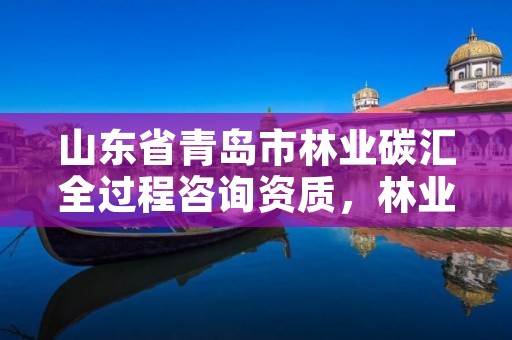 山东省青岛市林业碳汇全过程咨询资质,林业碳汇项目公司