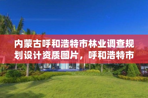 内蒙古呼和浩特市林业调查规划设计资质图片,呼和浩特市林业局举报电话