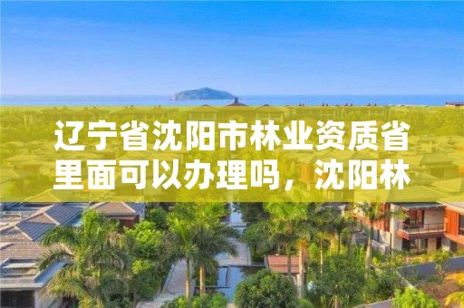 辽宁省沈阳市林业资质省里面可以办理吗,沈阳林业局