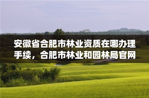 安徽省合肥市林业资质在哪办理手续，合肥市林业和园林局官网
