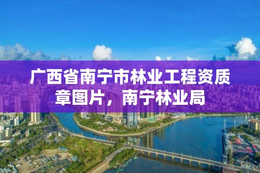 广西省南宁市林业工程资质章图片,南宁林业局