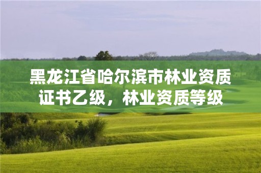 黑龙江省哈尔滨市林业资质证书乙级,林业资质等级