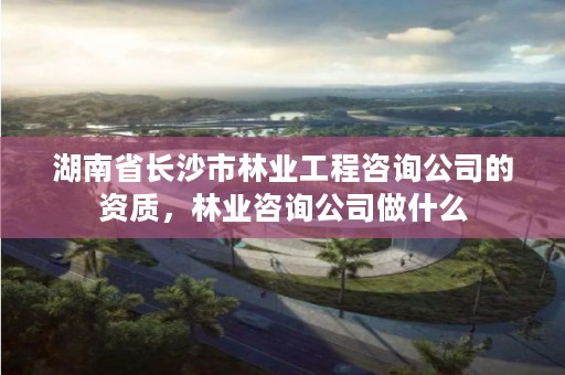 湖南省长沙市林业工程咨询公司的资质,林业咨询公司做什么