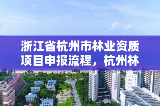 浙江省杭州市林业资质项目申报流程,杭州林业局官网