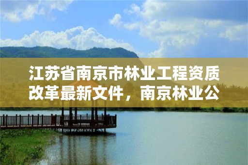 江苏省南京市林业工程资质改革最新文件,南京林业公司
